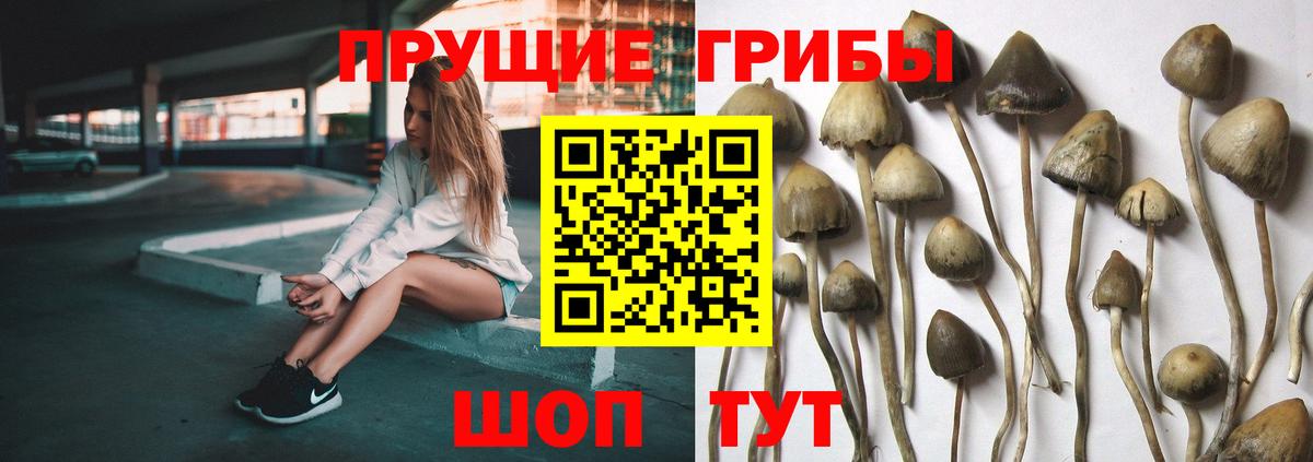 Галлюциногенные грибы прущие грибы  Вход с VPN  Канаш 
